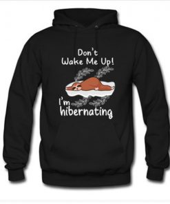 Dont Wake Me Up I'm Hibernating Hoodie