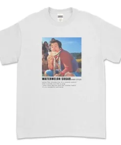 Harry Styles Watermelon Sugar Lyrics T-Shirt